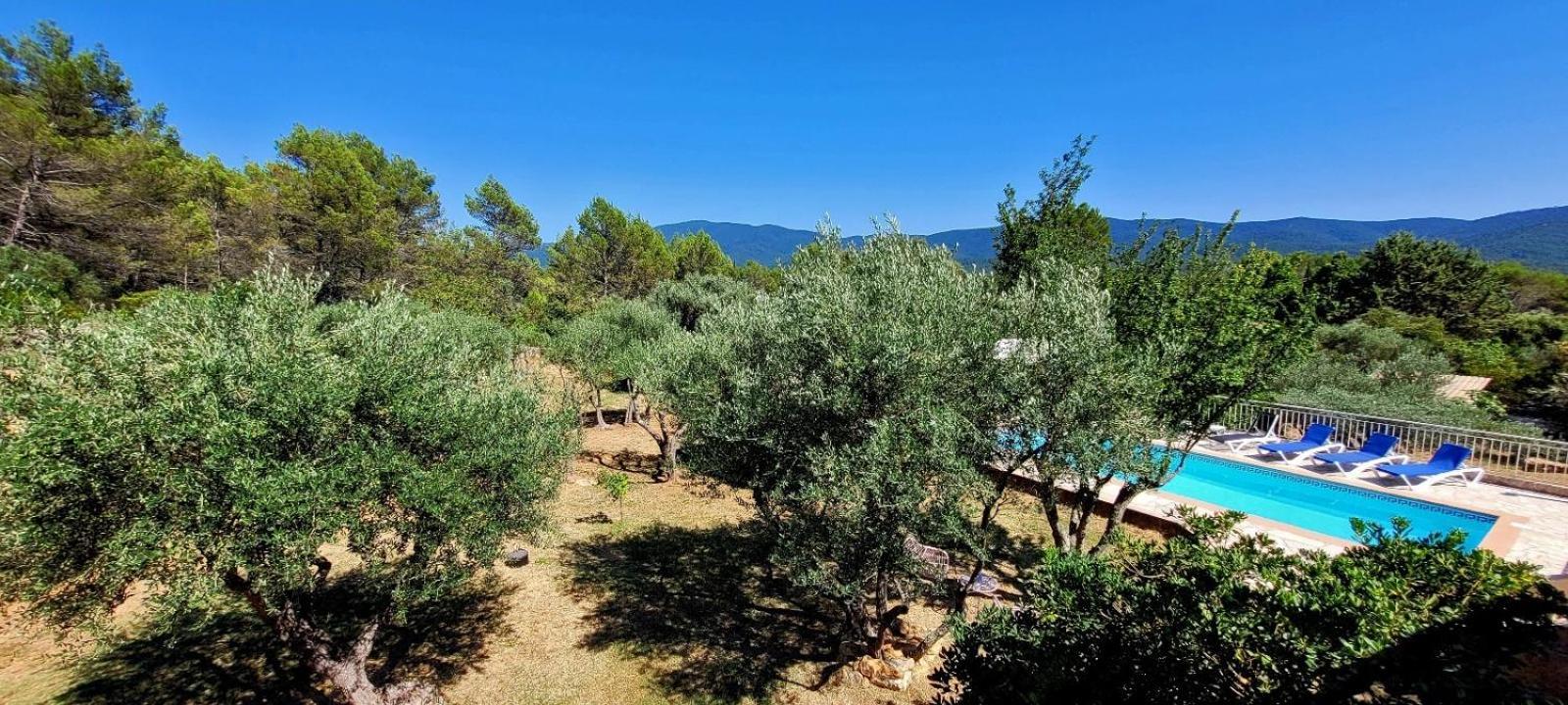 Au Petit Bonheur Villa Carnoules  Eksteriør bilde
