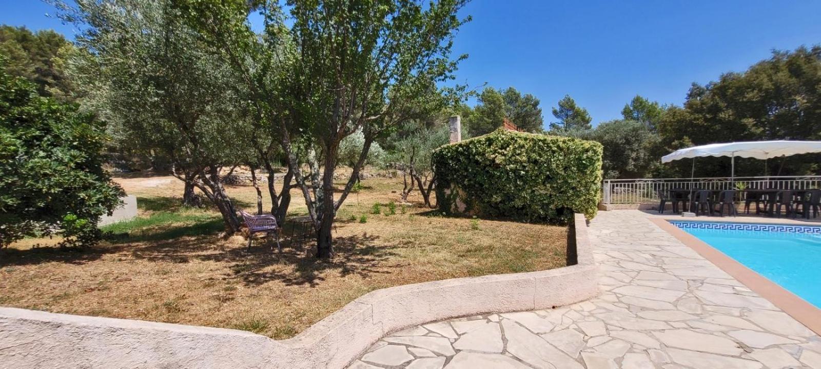 Au Petit Bonheur Villa Carnoules  Eksteriør bilde